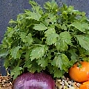 Plantas medicinales y hierbas frescas, simbolizando naturalidad